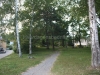 image_09