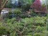 image_03