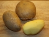 image_01