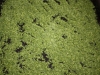 image_05